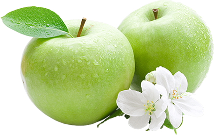 Weight Loss Treatments Weight Loss Treatments